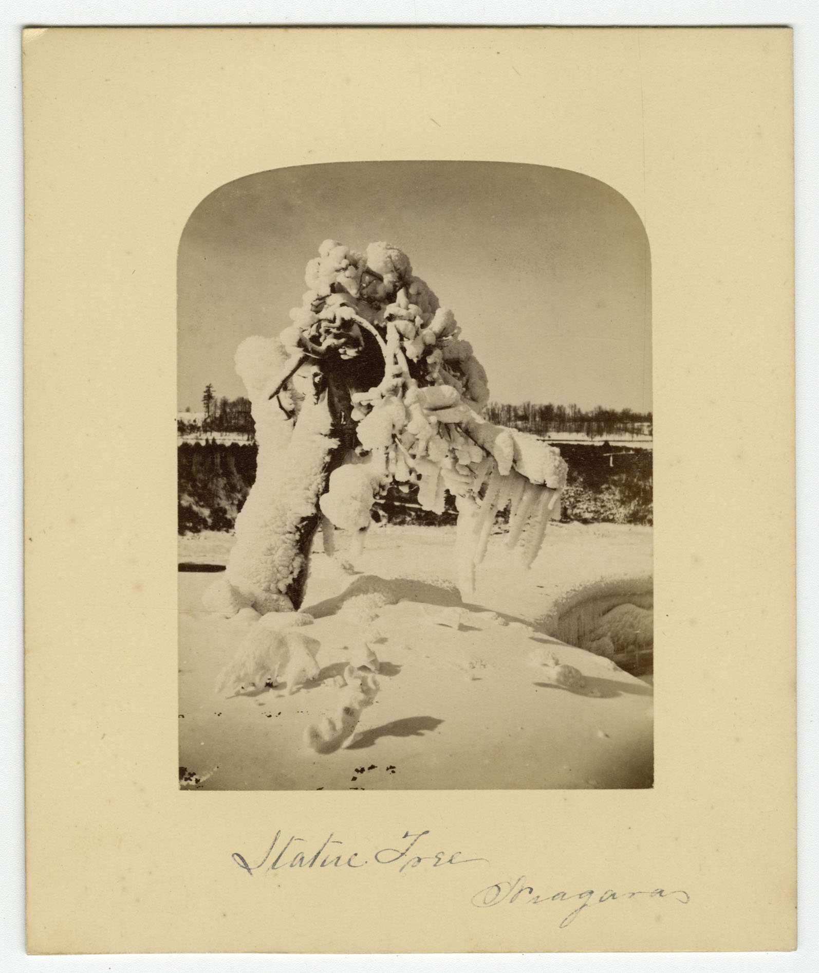 Statue Tree in Niagara